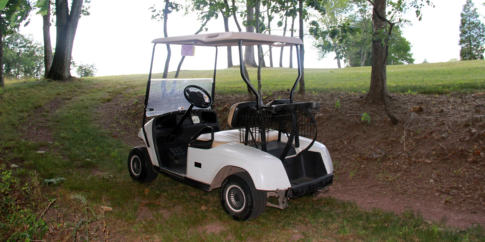 Golf Carts in Dublin and Doylestown Hilltown Services