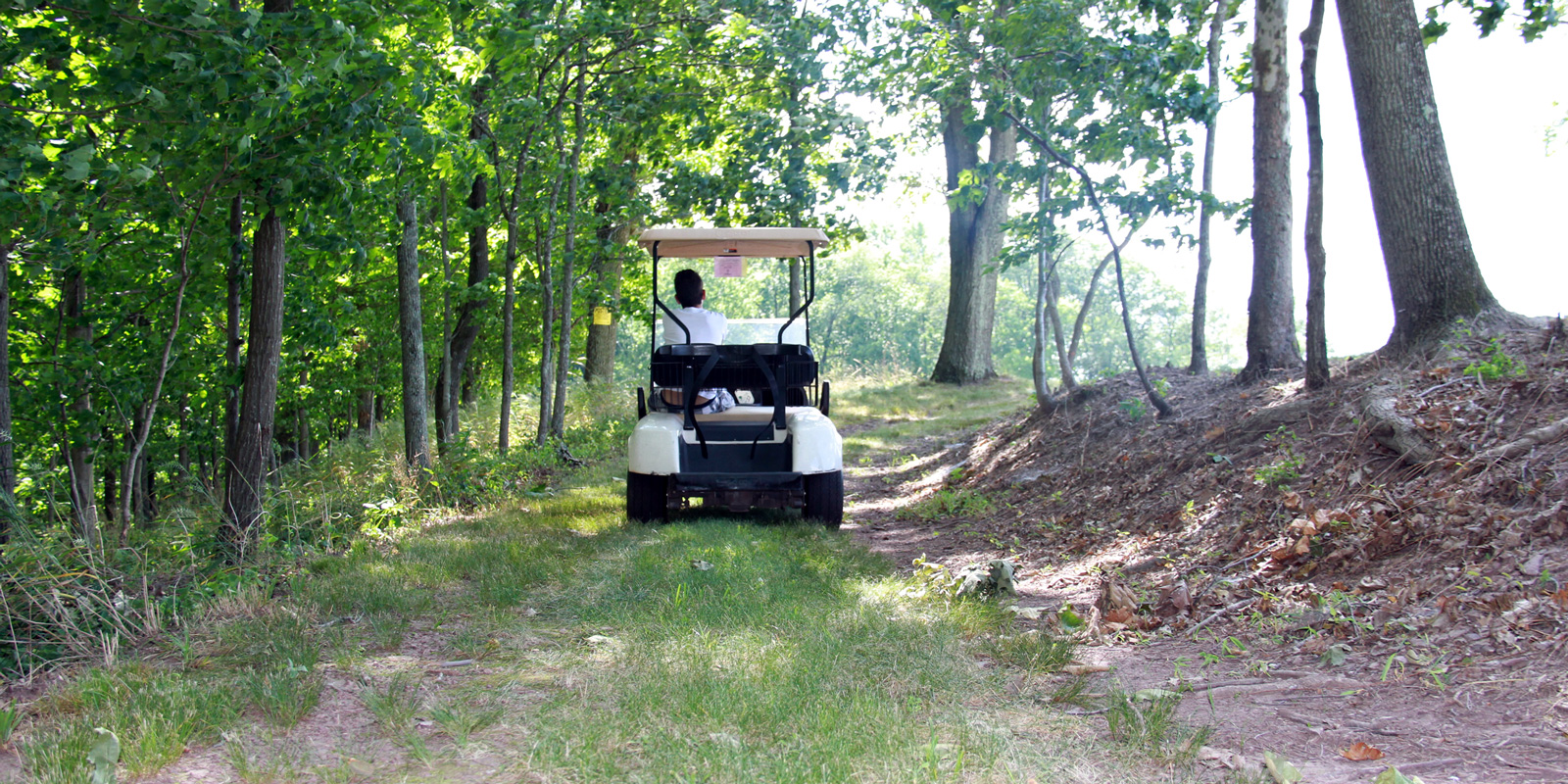 Golf Carts in Dublin and Doylestown Hilltown Services